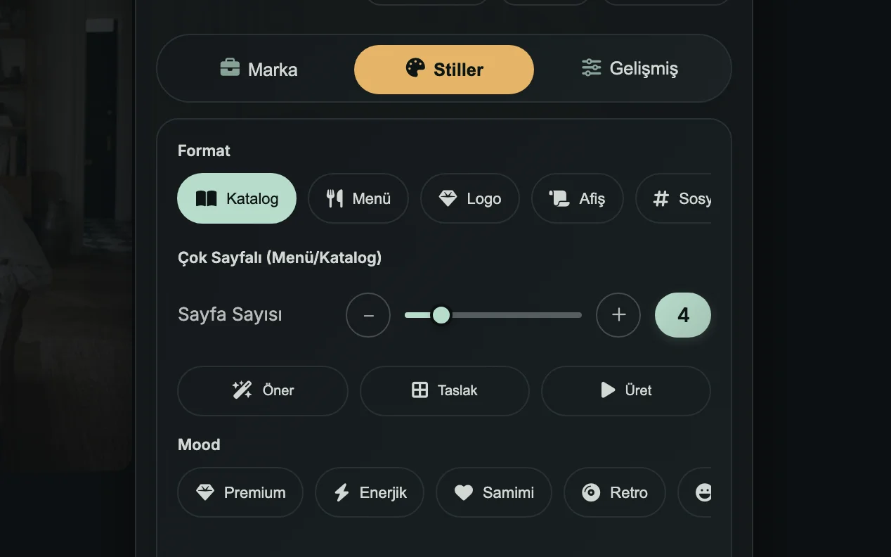 Ekran: Marka ve Stiller sekmeleri; Çok Sayfalı